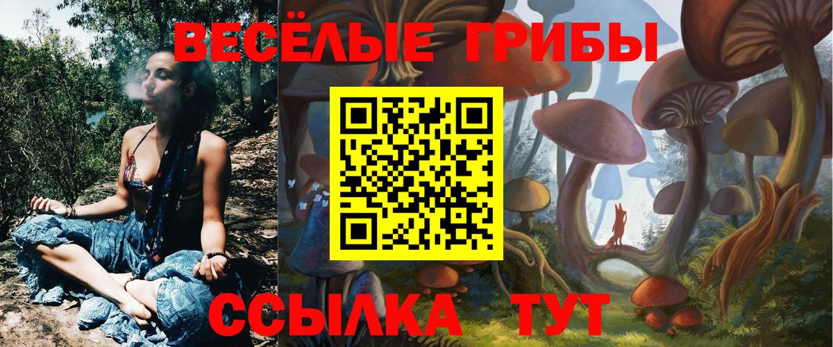 Омск  Псилоцибиновые грибы Psilocybe  Вход с VPN  Галлюциногенные грибы Psilocybine cubensis 