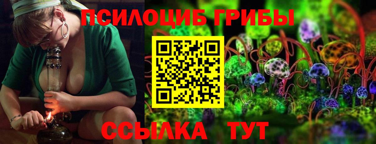Псилоцибиновые грибы прущие грибы Омск